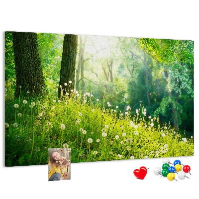 Cork memo board Spring nature