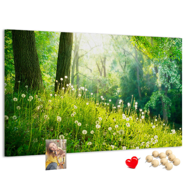 Cork memo board Spring nature