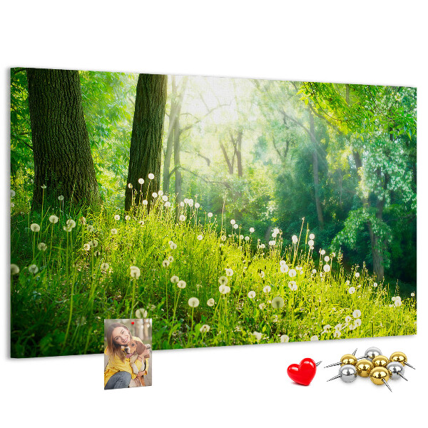 Cork memo board Spring nature