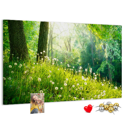 Cork memo board Spring nature