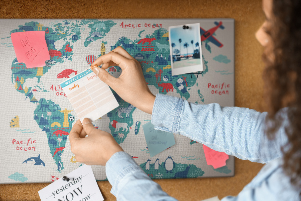 Cork board Pictorial world map