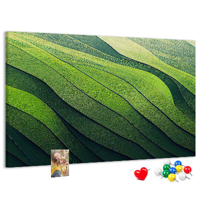 Cork memo board Abstract Green Fields