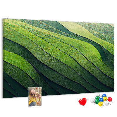 Cork memo board Abstract Green Fields