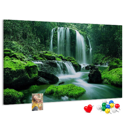 Cork board Waterfall among moss