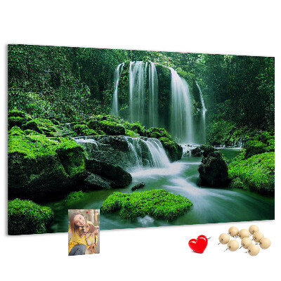 Cork board Waterfall among moss