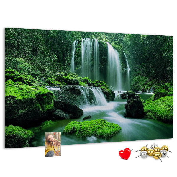 Cork board Waterfall among moss