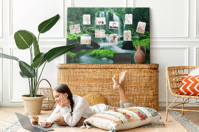 Cork board Waterfall among moss