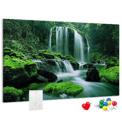 Cork board Waterfall among moss