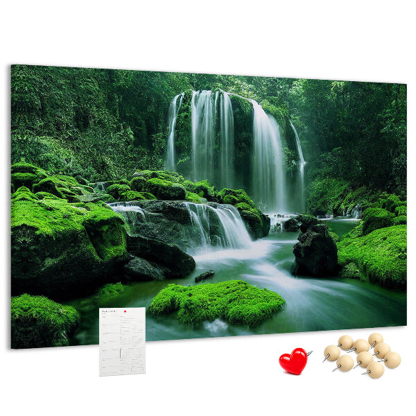 Cork board Waterfall among moss