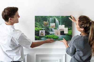 Cork board Waterfall among moss