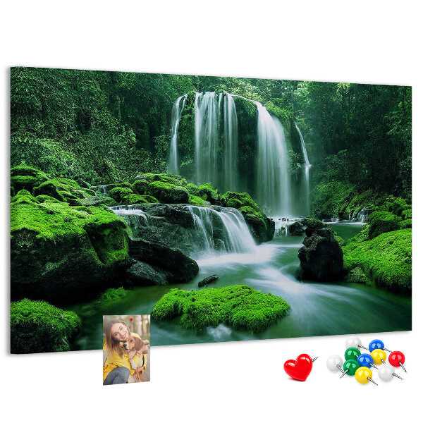 Cork board Waterfall among moss