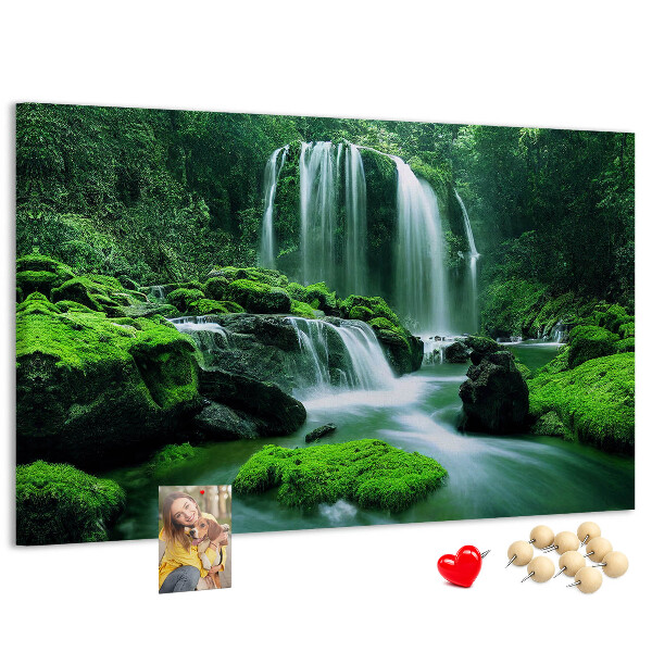 Cork board Waterfall among moss
