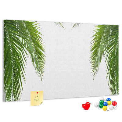 Cork board Leaves palm nature
