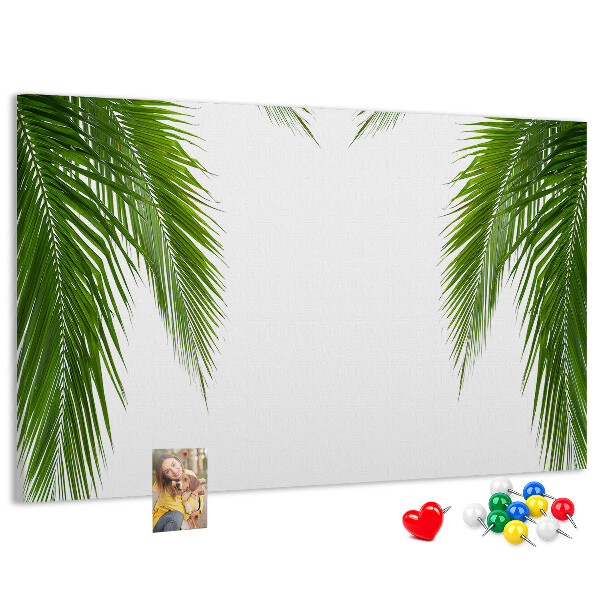 Cork board Leaves palm nature