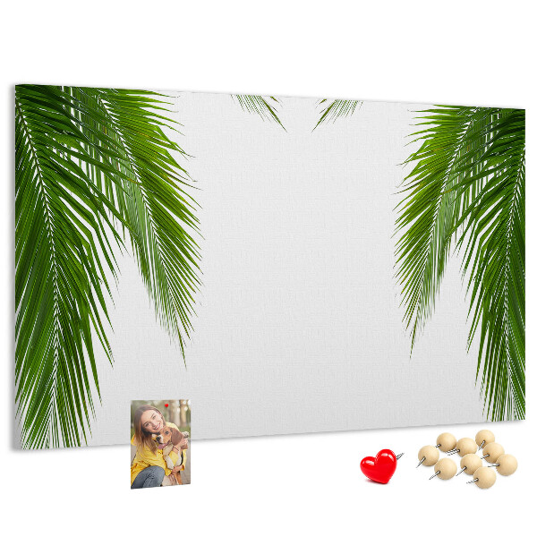 Cork board Leaves palm nature