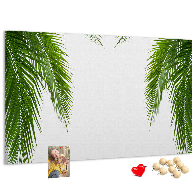 Cork board Leaves palm nature