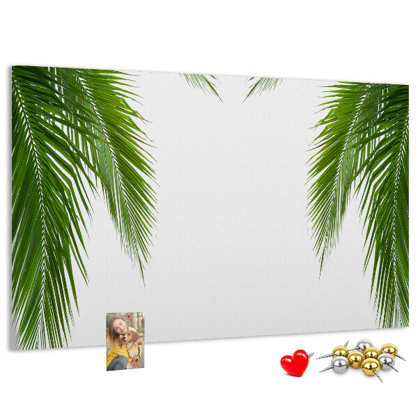 Cork board Leaves palm nature