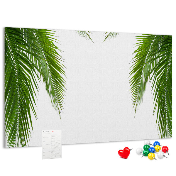 Cork board Leaves palm nature