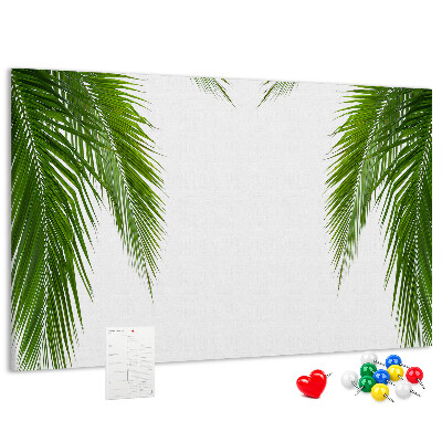 Cork board Leaves palm nature