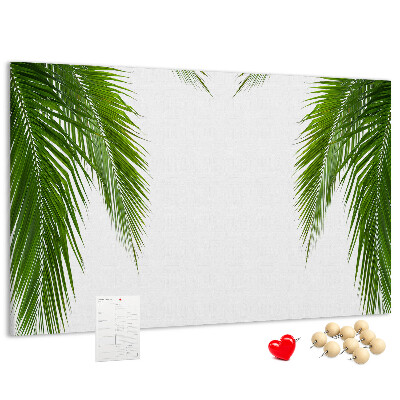 Cork board Leaves palm nature