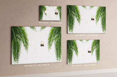 Cork board Leaves palm nature