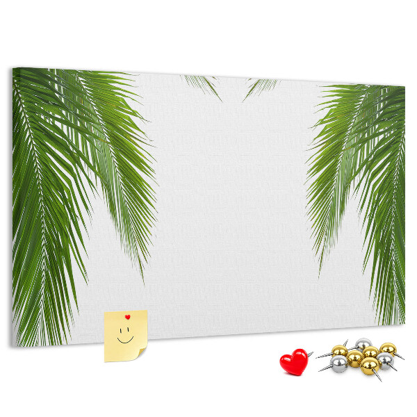 Cork board Leaves palm nature
