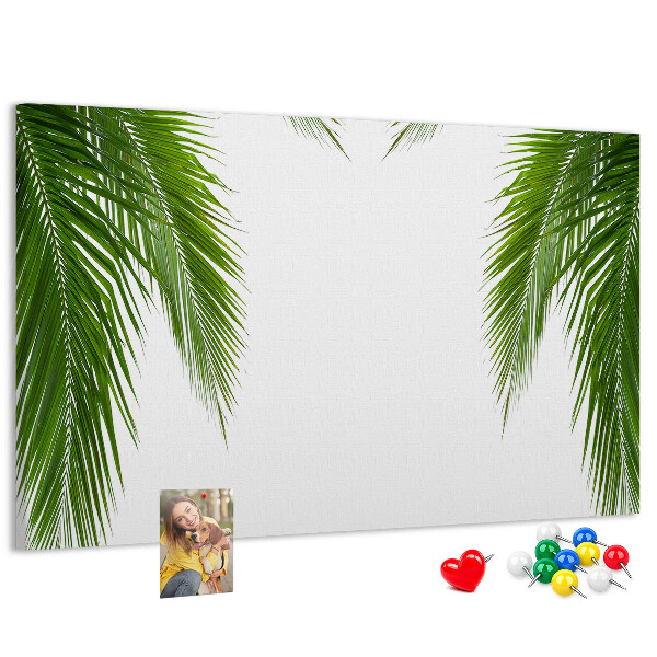Cork board Leaves palm nature