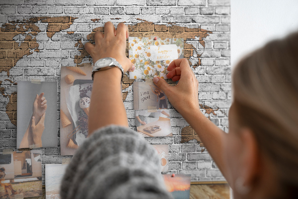 Cork display board Brick world map
