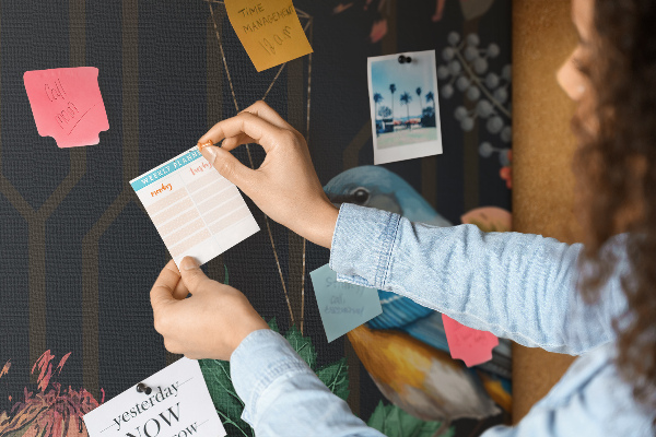 Cork memo board Nature frame