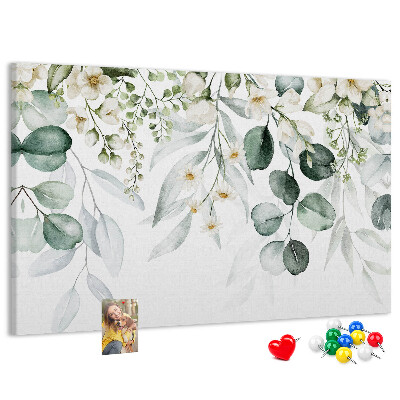 Cork board Plants nature