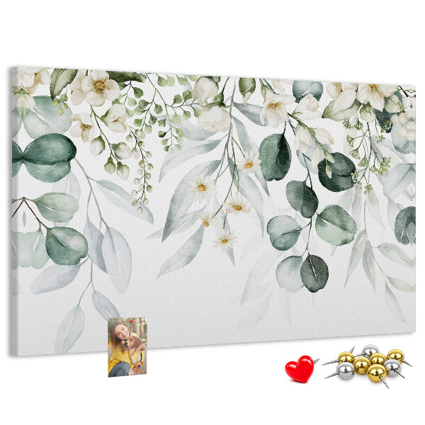 Cork board Plants nature
