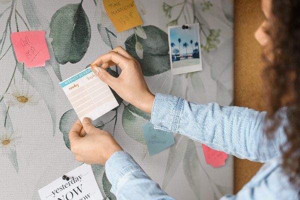 Cork board Plants nature