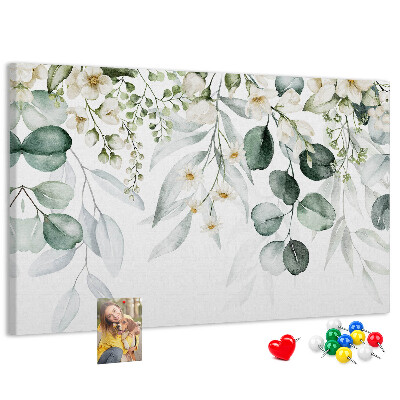 Cork board Plants nature