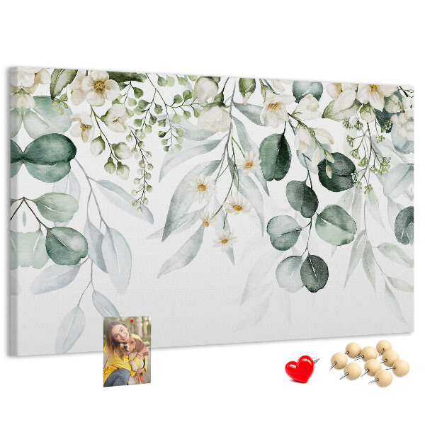 Cork board Plants nature