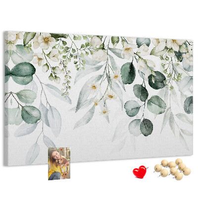 Cork board Plants nature