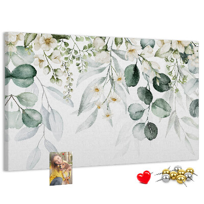 Cork board Plants nature