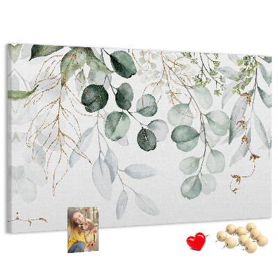 Cork memo board Hanging plants