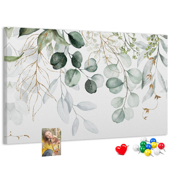 Cork memo board Hanging plants