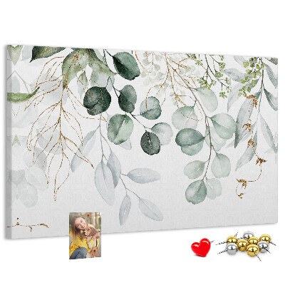 Cork memo board Hanging plants