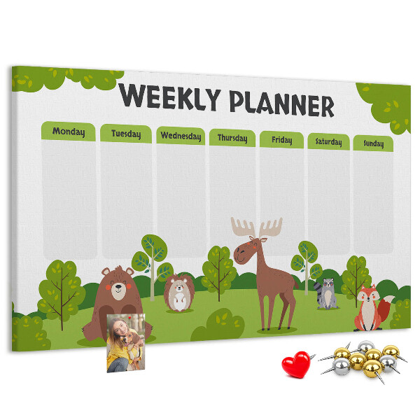 Cork memo board Lesson plan