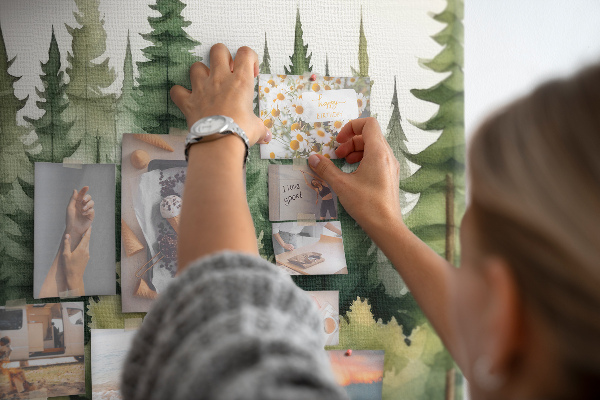 Cork board Forest landscape