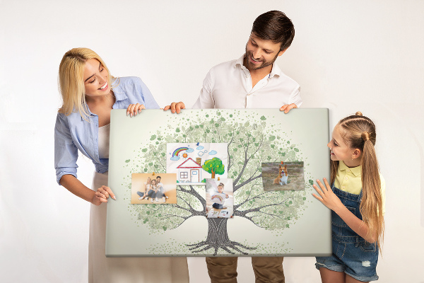 Cork display board Large tree nature