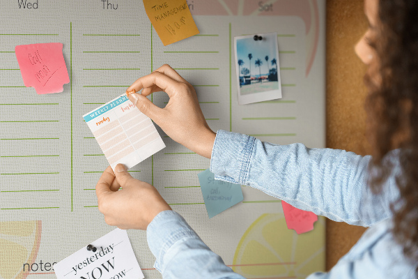 Cork memo board Family planner