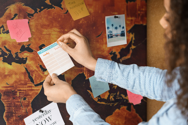 Cork memo board World map