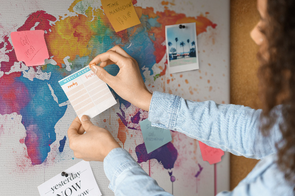 Cork memo board World map