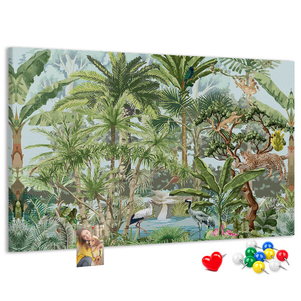 Cork board Nature jungle wildlife