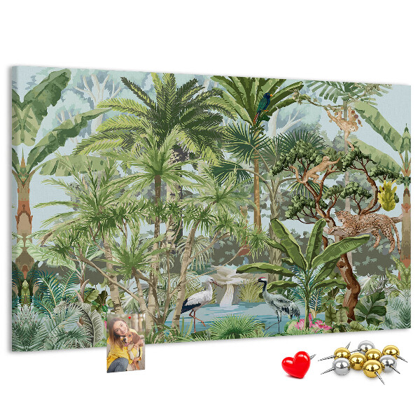 Cork board Nature jungle wildlife