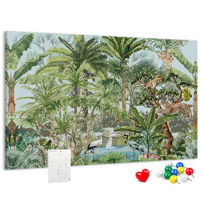 Cork board Nature jungle wildlife