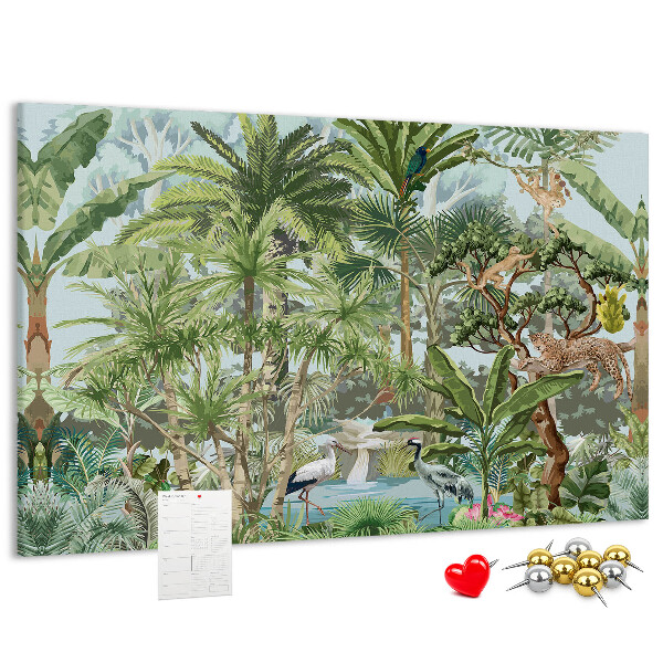Cork board Nature jungle wildlife