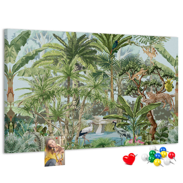 Cork board Nature jungle wildlife
